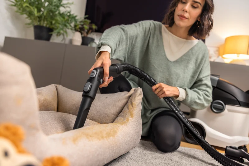 Karcher SE 6 Spot Cleaner
