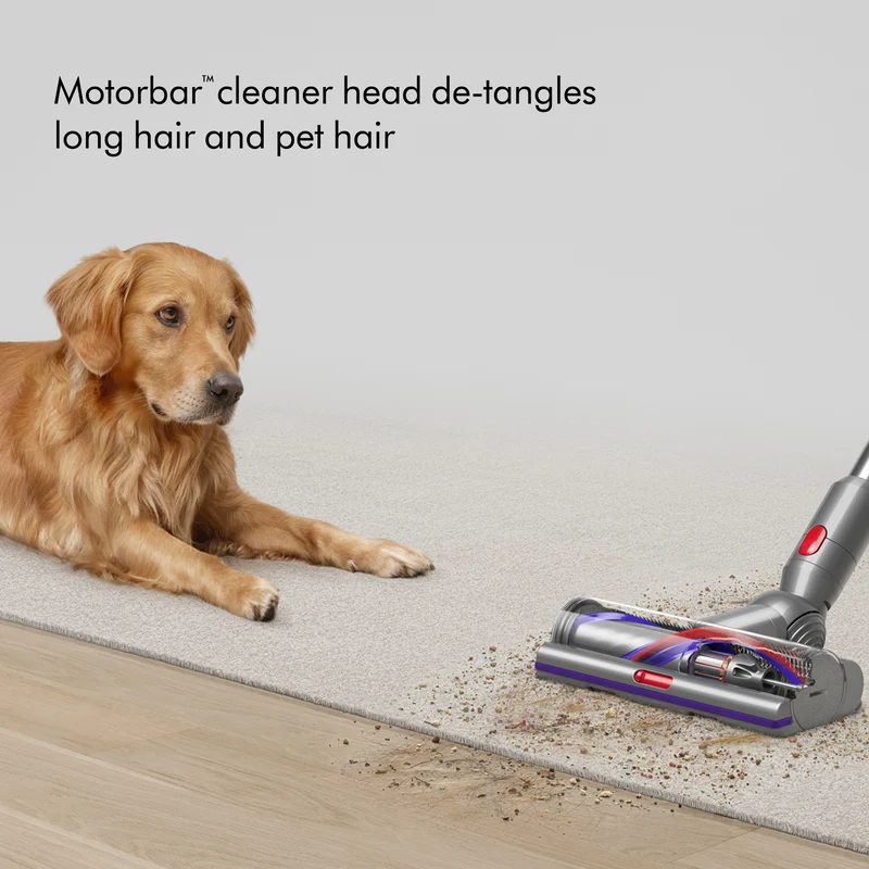 Dyson V15 Detect Absolute Cordless Vacuum