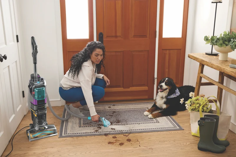 Shark CarpetXpert HairPro Pet with StainStriker