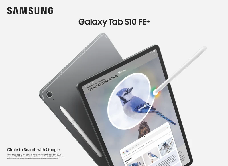 Samsung Tab S10 FE+ Wi-Fi 12GB 256GB - Grey