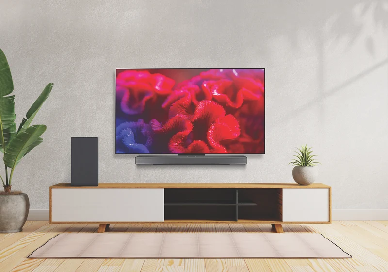LG 48" OLED EVO C4 4K Smart TV 24