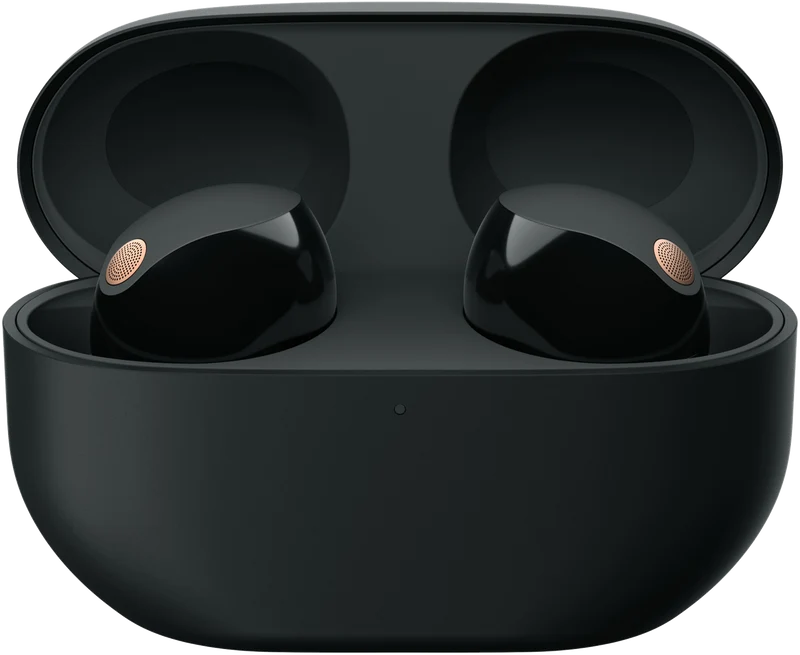 Sony WF-1000XM5 Noise Cancelling Earbuds