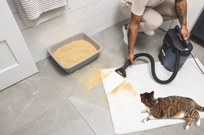 Shark MessMaster Portable Wet/Dry Vacuum