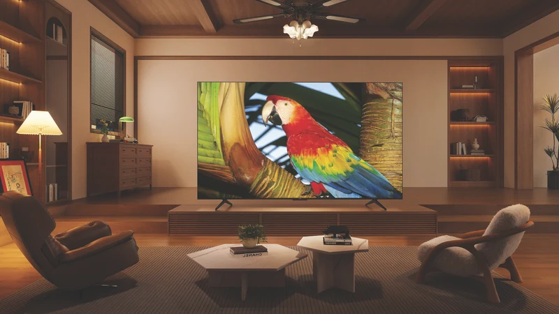 TCL 98" C655 QLED Google TV 24