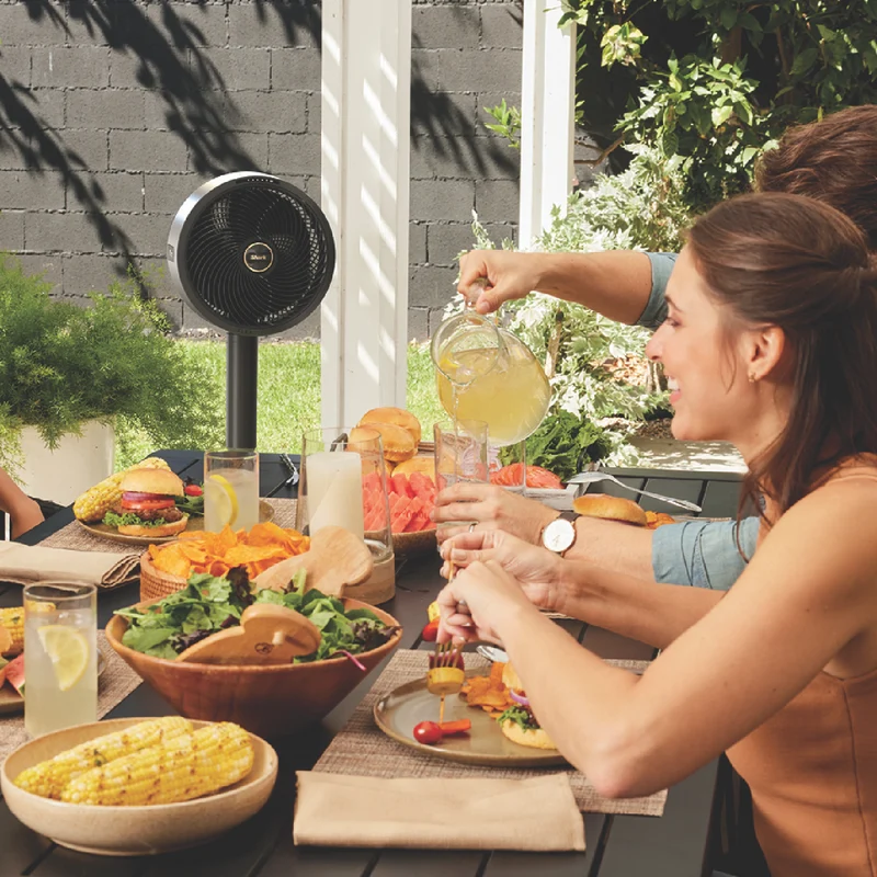 Shark FlexBreeze Fan with InstaCool Mist