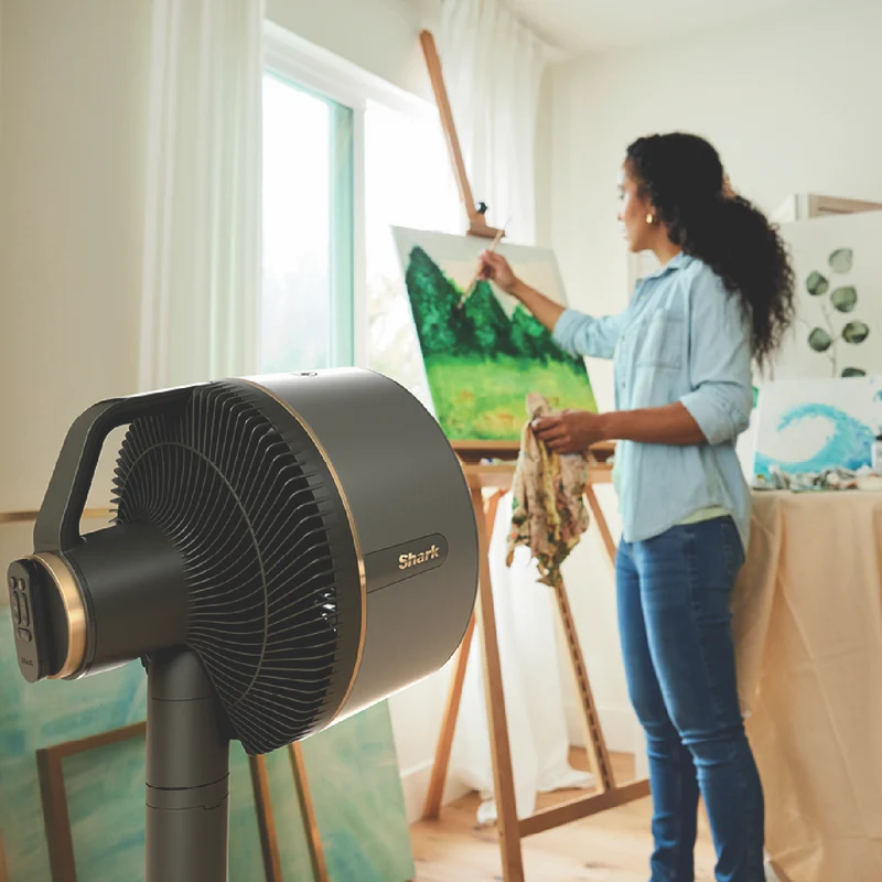 Shark FlexBreeze Fan with InstaCool Mist