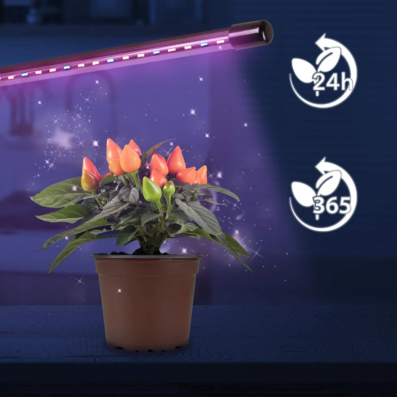 Duronic GLC12 Lampe de croissance horticole à pince 20W | Ampoules LED | 3 modes : bleu, rouge, mixte | Intensité ajustable | Prise USB | Lumière de culture pour plante fruit légume fleur herbe