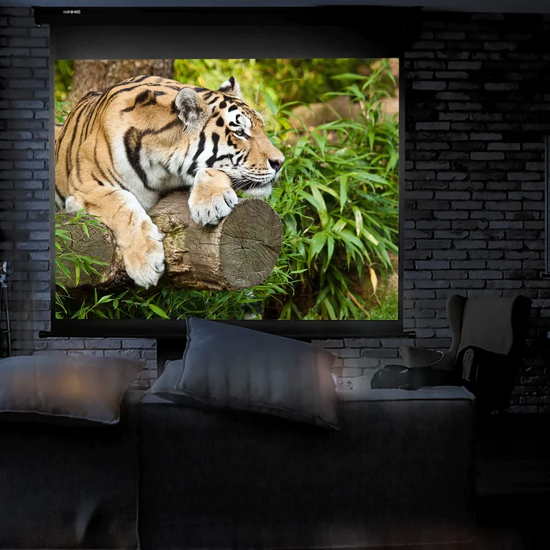 Duronic MPS90 4/3 Ecran de Projection à déroulement Manuel 90 Pouces 4:3/183 x 137 cm - Fixation Mur ou Plafond - 4K Full HD 3D