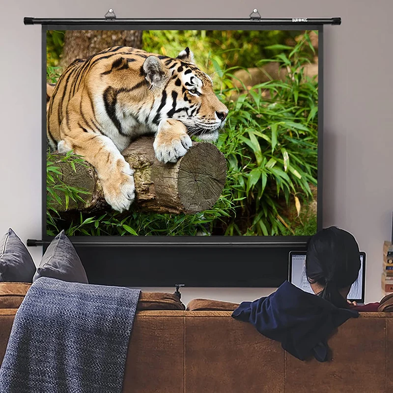 Duronic BPS50 /43 Ecran de Projection avec Barres et Crochets pour vidéoprojecteur - Toile de 50 Pouces ou 127 cm (100 x 76 cm)