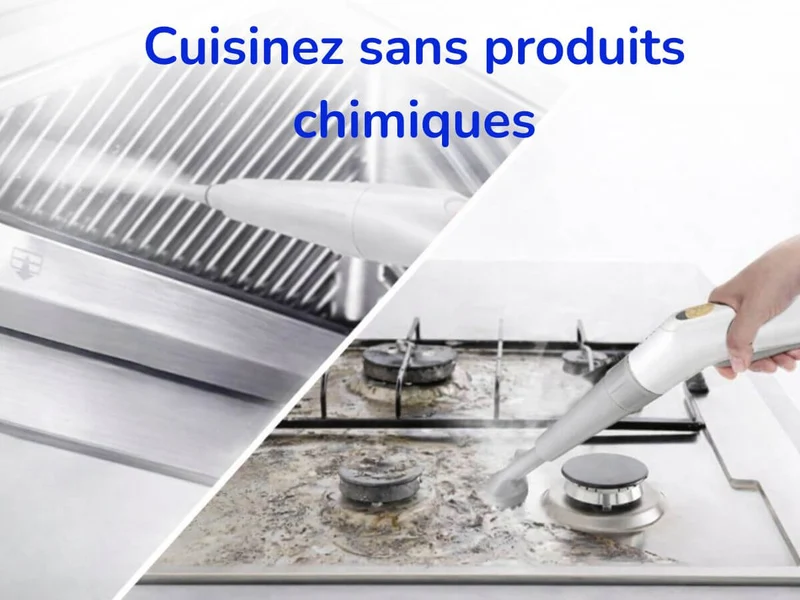 Nettoyeur à vapeur PURE