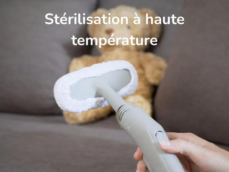 Nettoyeur à vapeur PURE