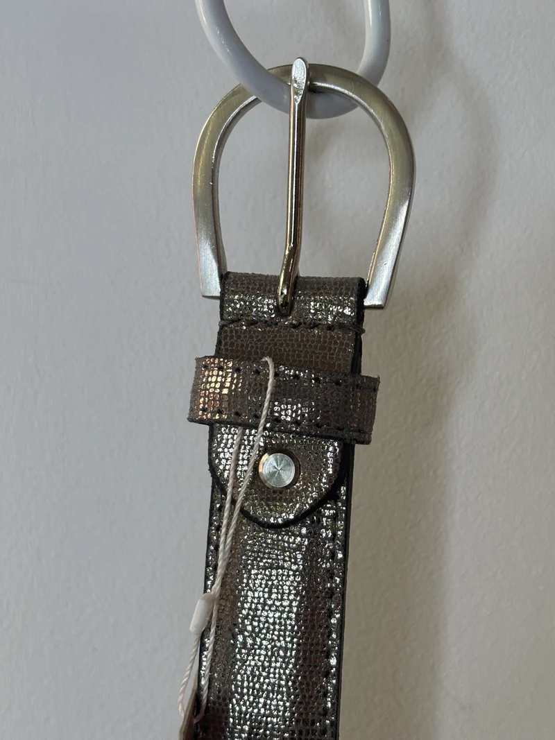 Ceinture Serpent grise
