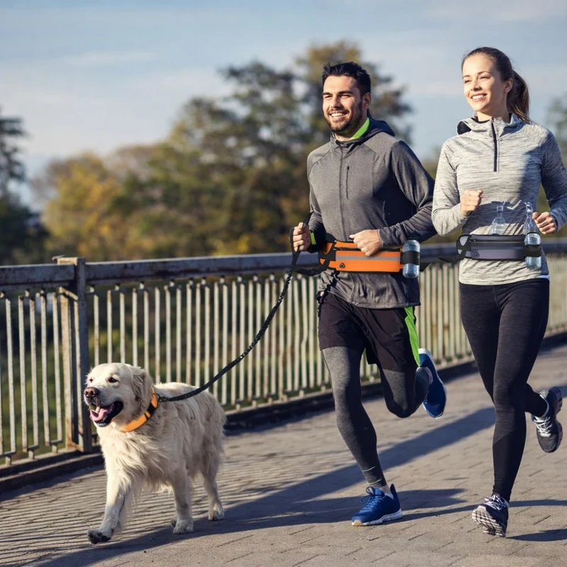 Laisse Mains Libres Anti-Traction pour Chien avec Amortisseur