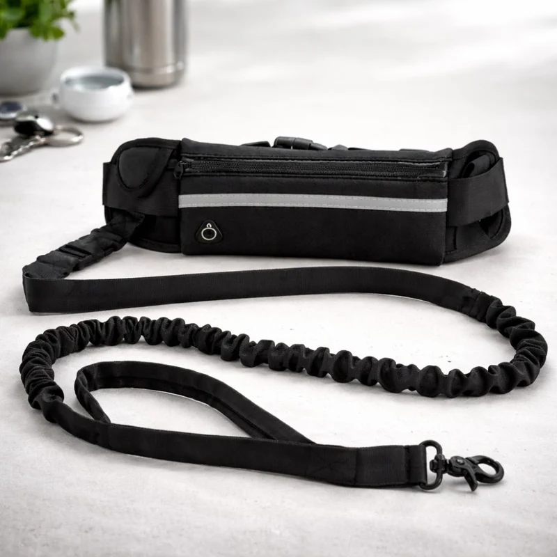 Laisse Mains Libres Anti-Traction pour Chien avec Amortisseur
