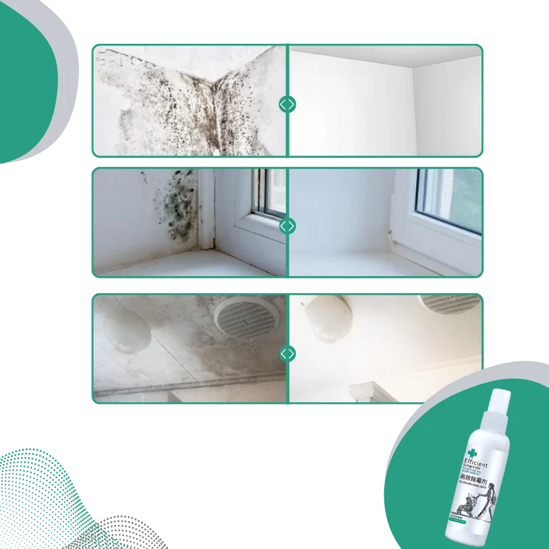 Spray puissant contre les moisissures