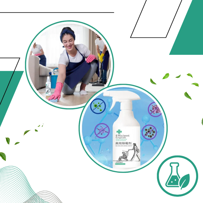 Spray puissant contre les moisissures