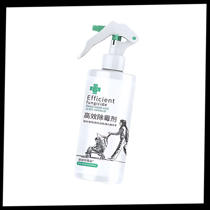 Spray puissant contre les moisissures
