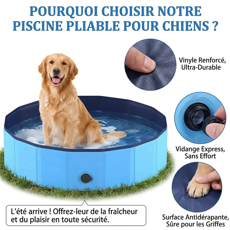 Piscine pour Chien AquaPaws | Piscine pliable grande capacité antidérapante