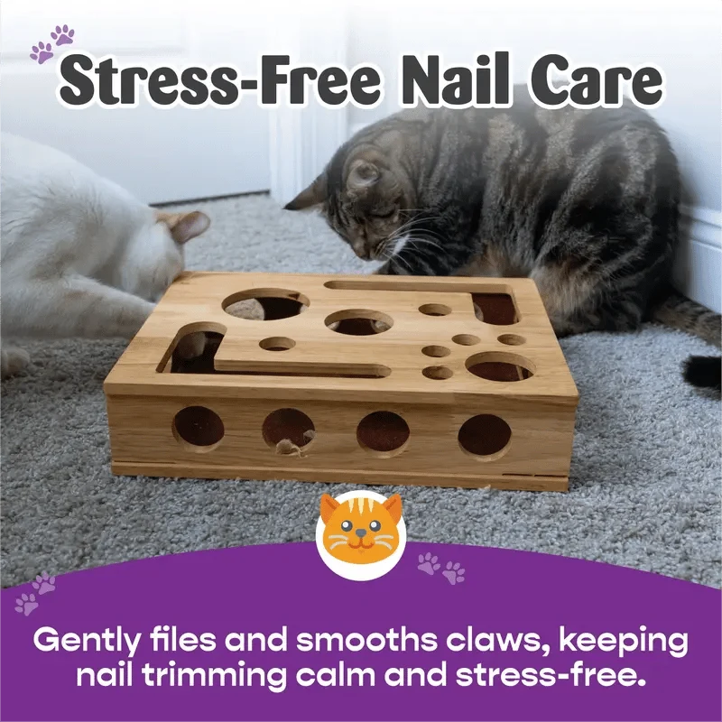 Katzen Kratz-Puzzle Beschäftigungsbox aus Eichenholz | Krallenpflege + mentale Stimulation | Möbel schützen | 30×25×6 cm | 1–2er Pack