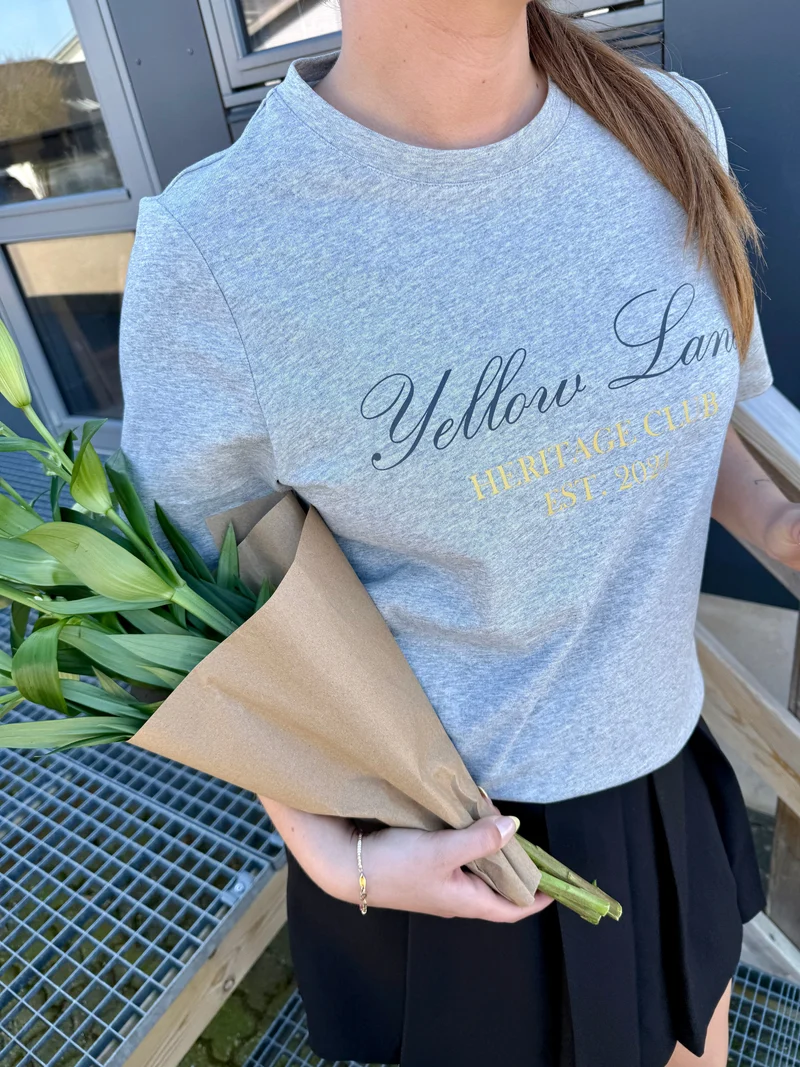 Yellow Lane - Varsity Tee 165589 - 133 - Grey Melange